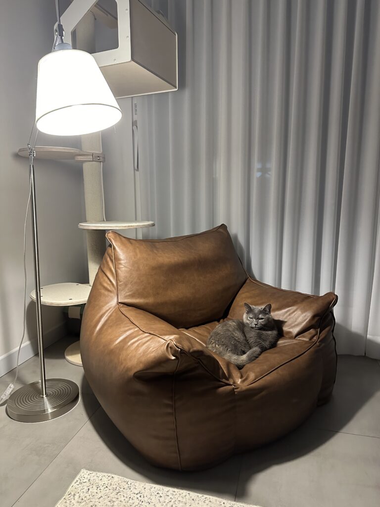 cozy_beanbag_cat_lamp_safe_corner