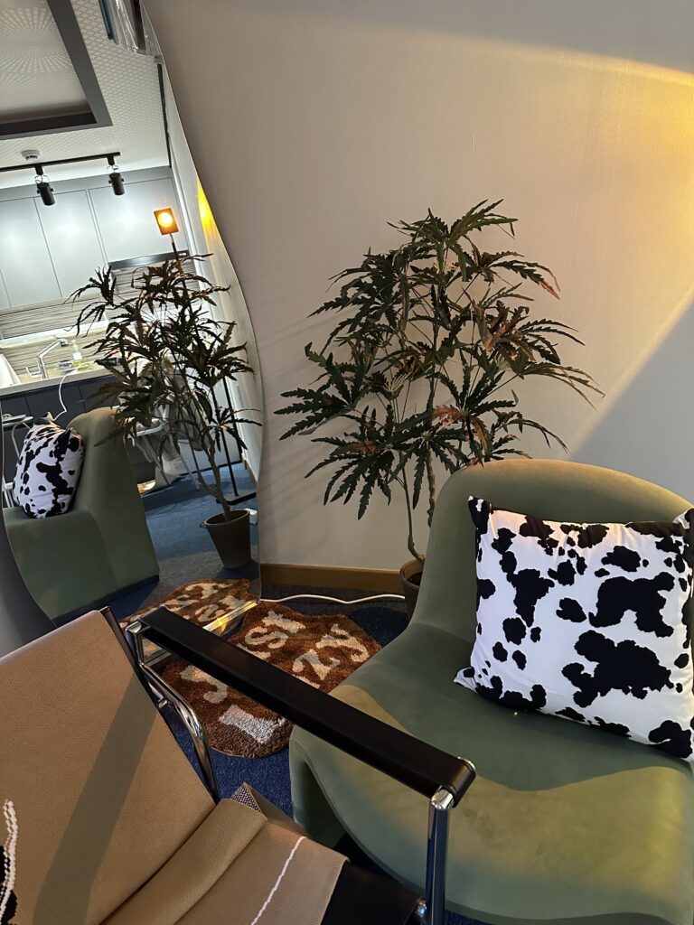 Airbnb living room with ambient lighting and throw pillows