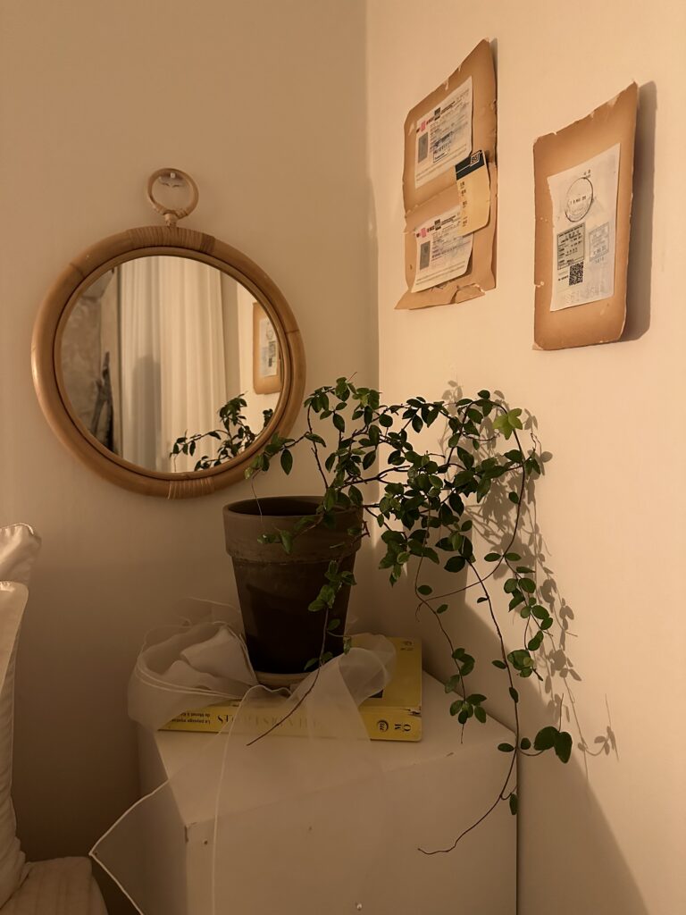 beige calms you down