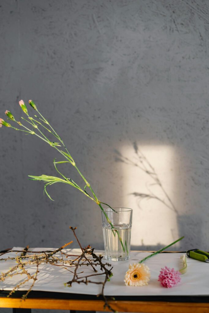 Simple floral arrangement with soft lighting casting shadows on the wall.