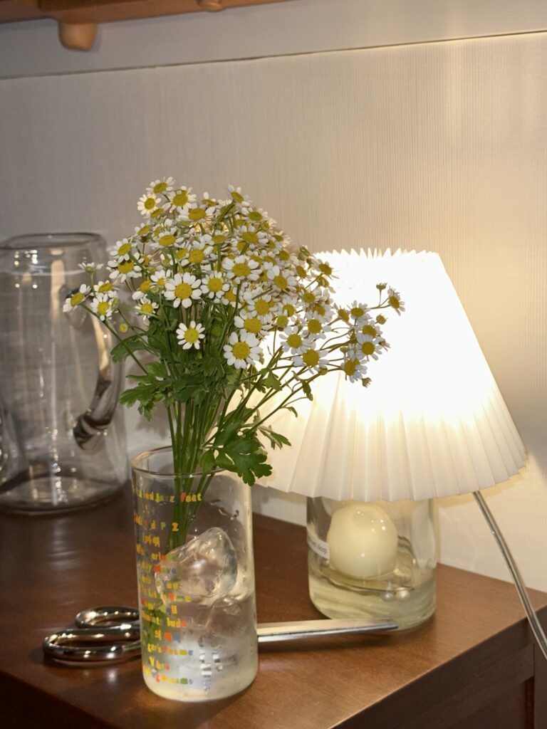 plant interior design relaxes you