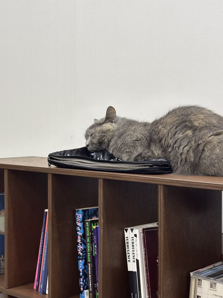 Best Storage for Small Apartments: 7 Solutions Under $100 (Minimal Maximalist Tested)